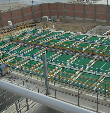 Sistema de Grasas Tasa